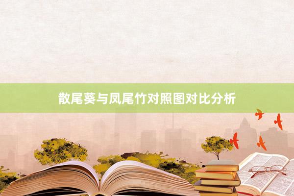 散尾葵与凤尾竹对照图对比分析