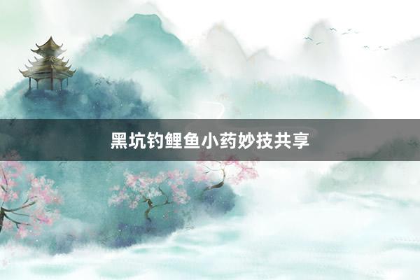黑坑钓鲤鱼小药妙技共享