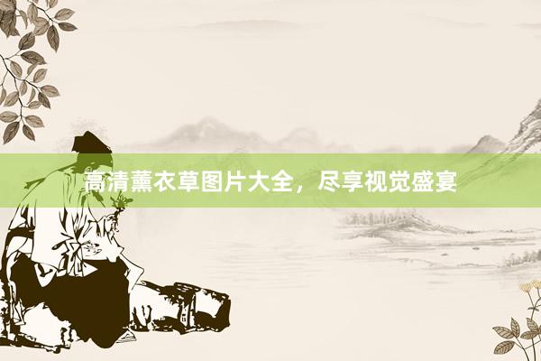 高清薰衣草图片大全，尽享视觉盛宴